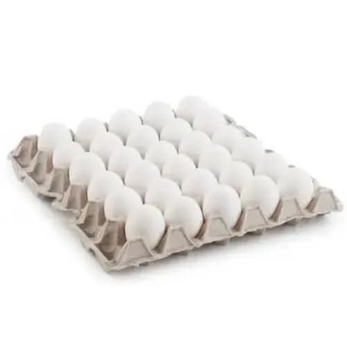 White eggs 30pcs tray