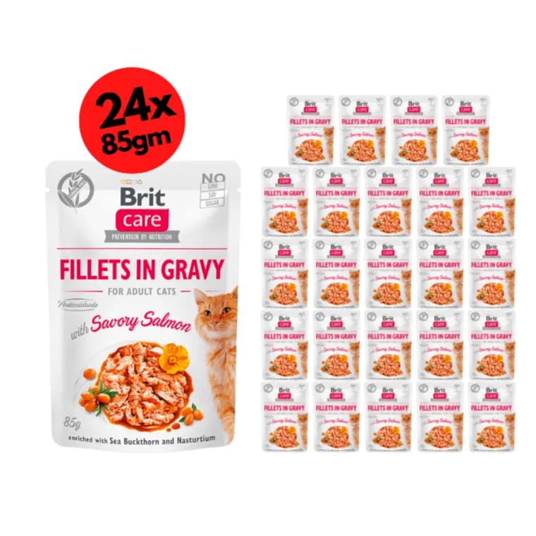 Brit Care Cat Fillets in Gravy with Savory Salmon 24x85g