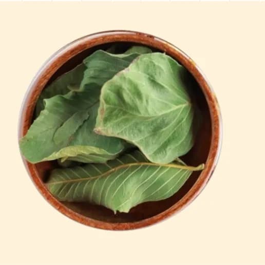 Guava Leaves