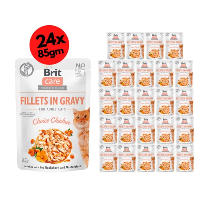 Brit Care Cat Fillets in Gravy Choice Chicken 24x85g