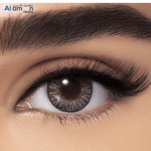 Alcon Freshlook GRAY 
