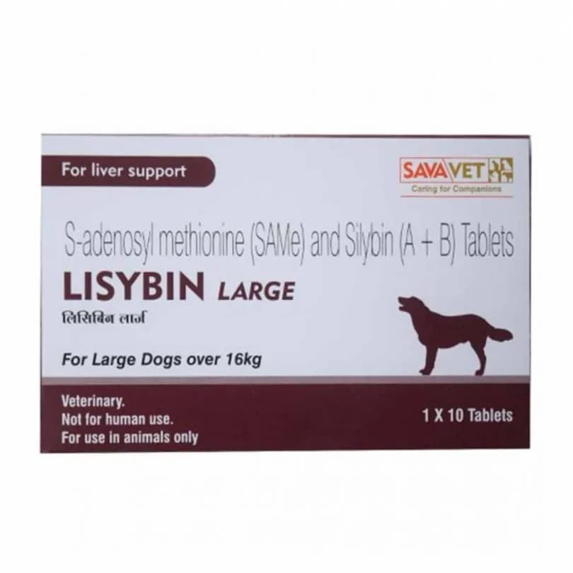 lisybin large 