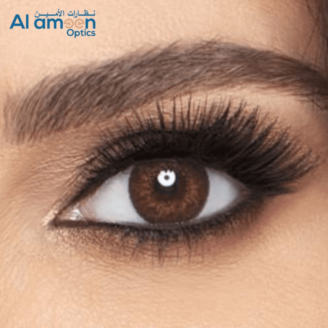 Alcon Freshlook BROWN 