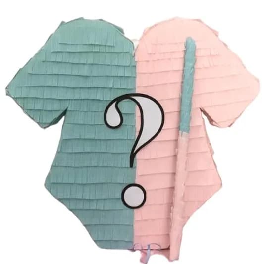 Bodysuit Gender Reveal Pinata