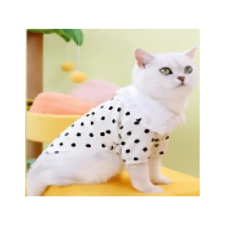 Polka Dot Beige Cat Clothes X-SMALL