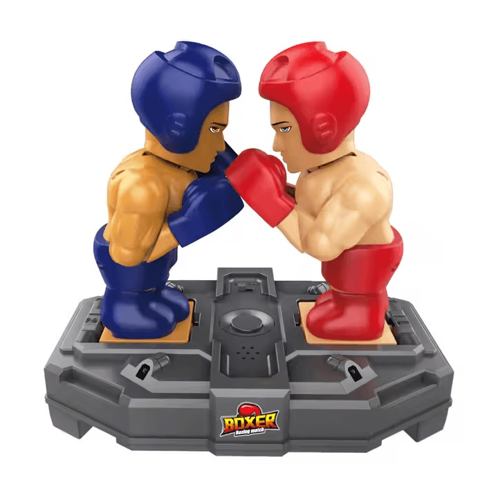 Boxer Boxing Match