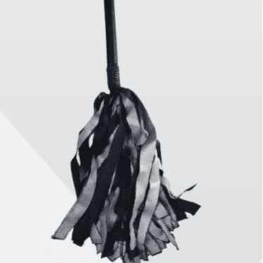 DUSTER