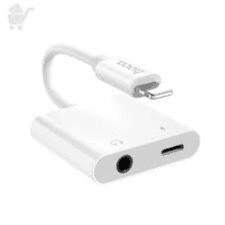 HOCO IP TO IPX2 DIGITAL AUDIO CONVERTER