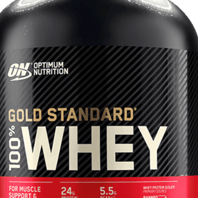 On Gold Standard Double Rich Chocolate 5 Lbs