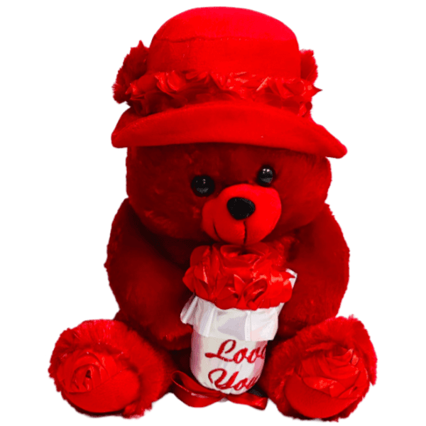 Valentine's Teddy Bear Plush Doll - 30 Cm  (DLGC153)