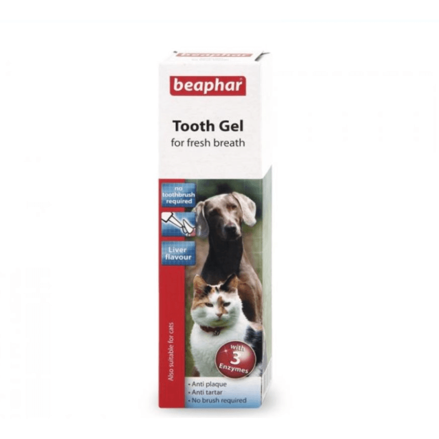 Tooth Gel 100g