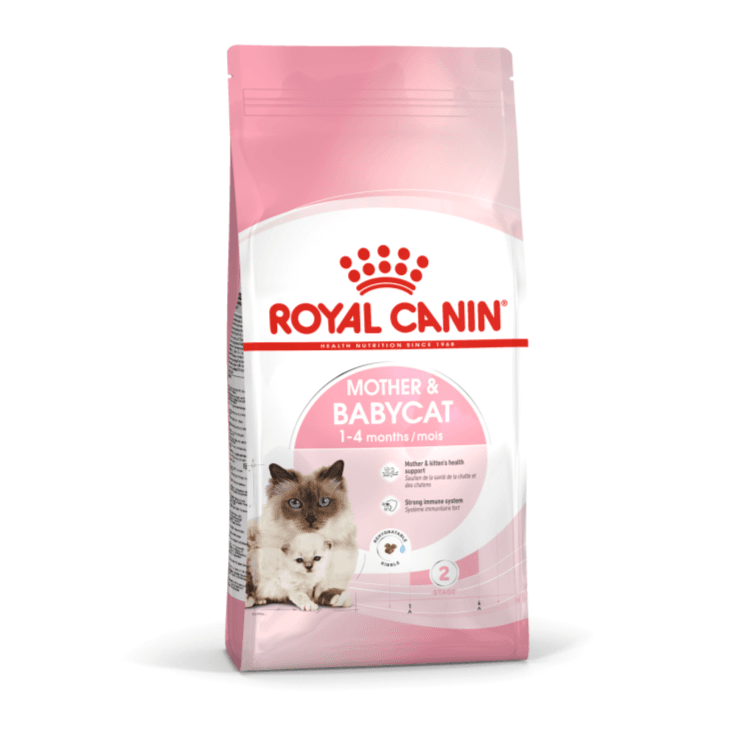 Mother and Babycat 2 KG