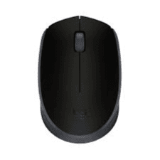 Logitech Wireless Mouse M171
