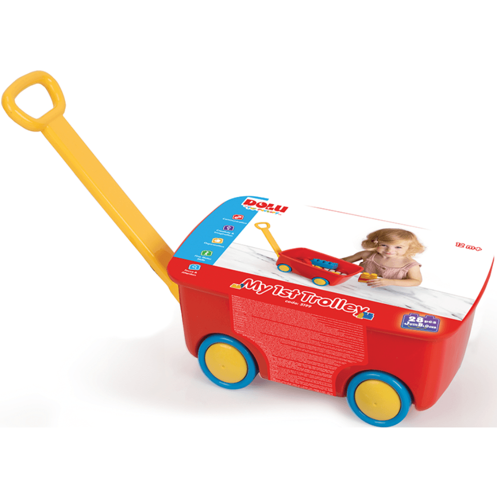 DOLU MY 1ST TROLLEY WITH BLOCKS 28PCS