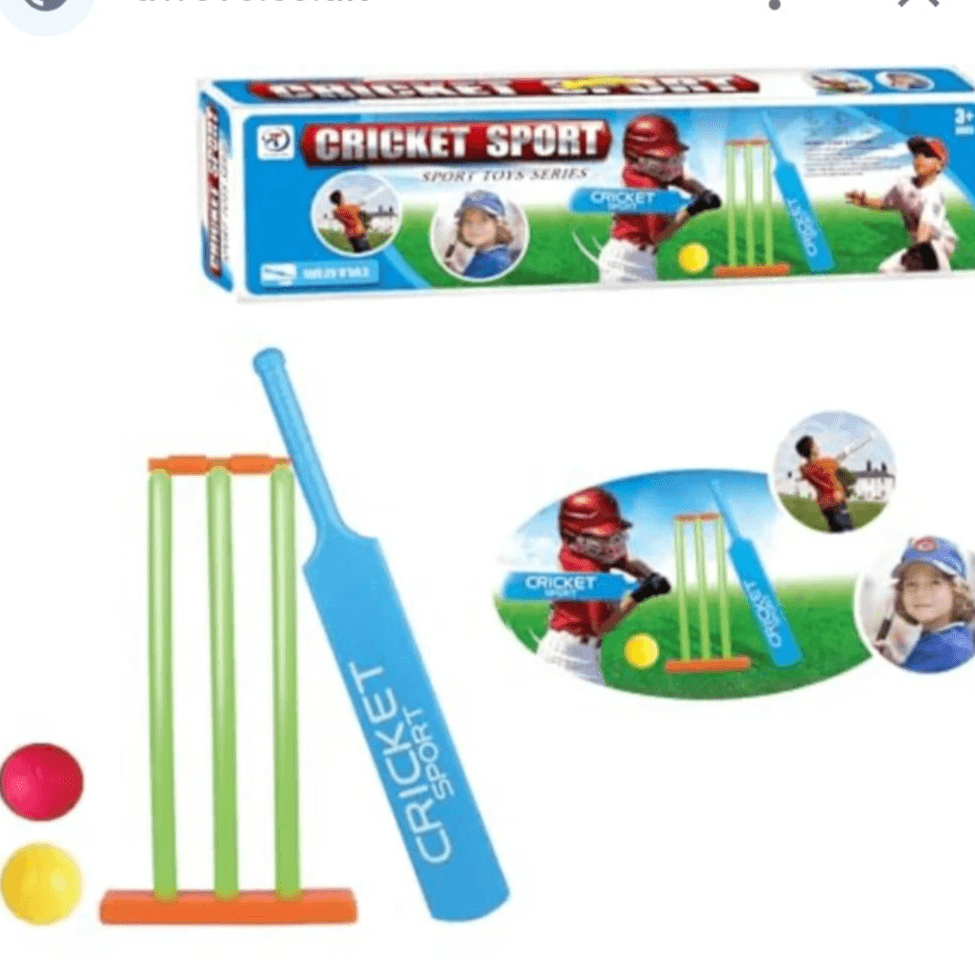 sports game cricket set
