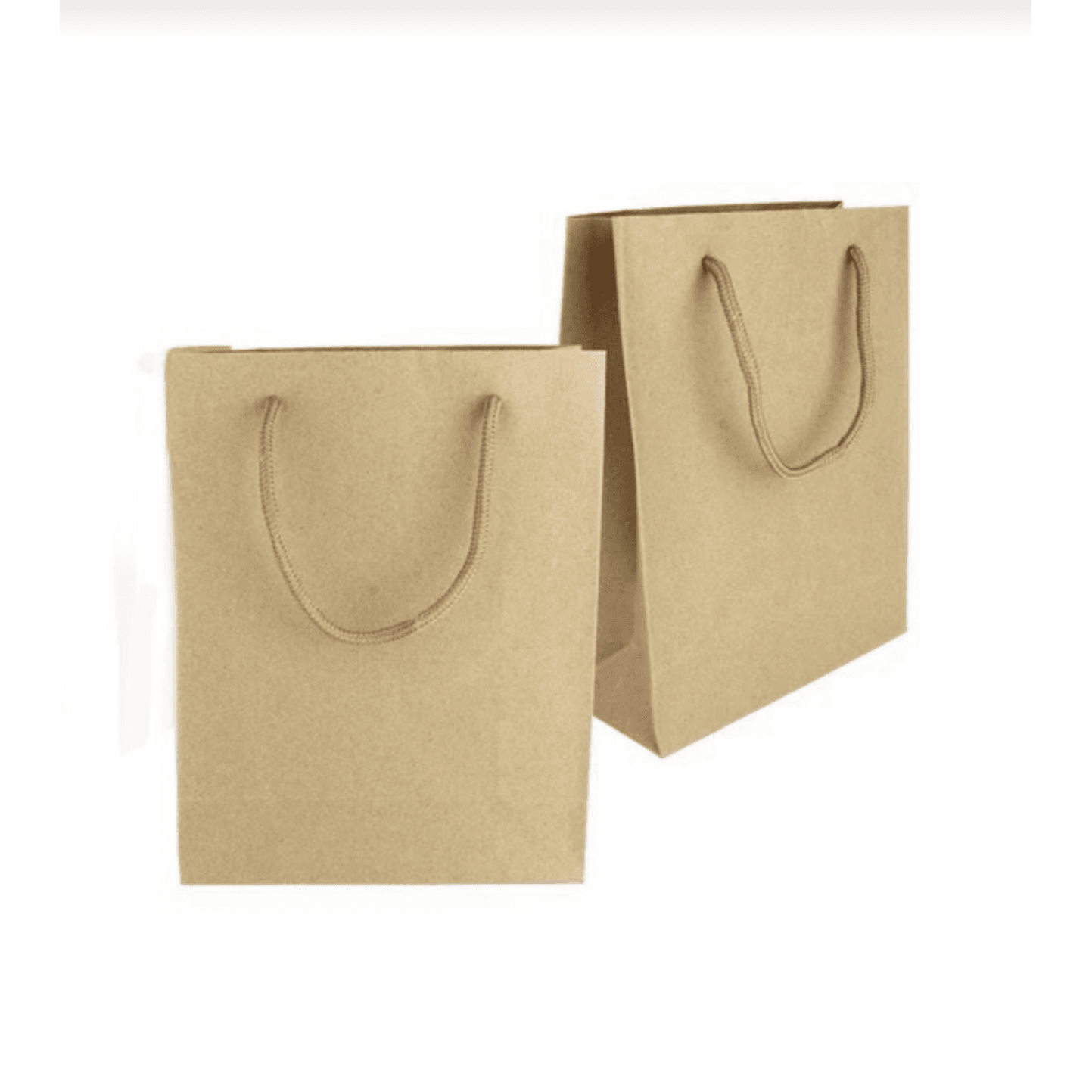 Medium Brown Gift Bag 2 Pieces