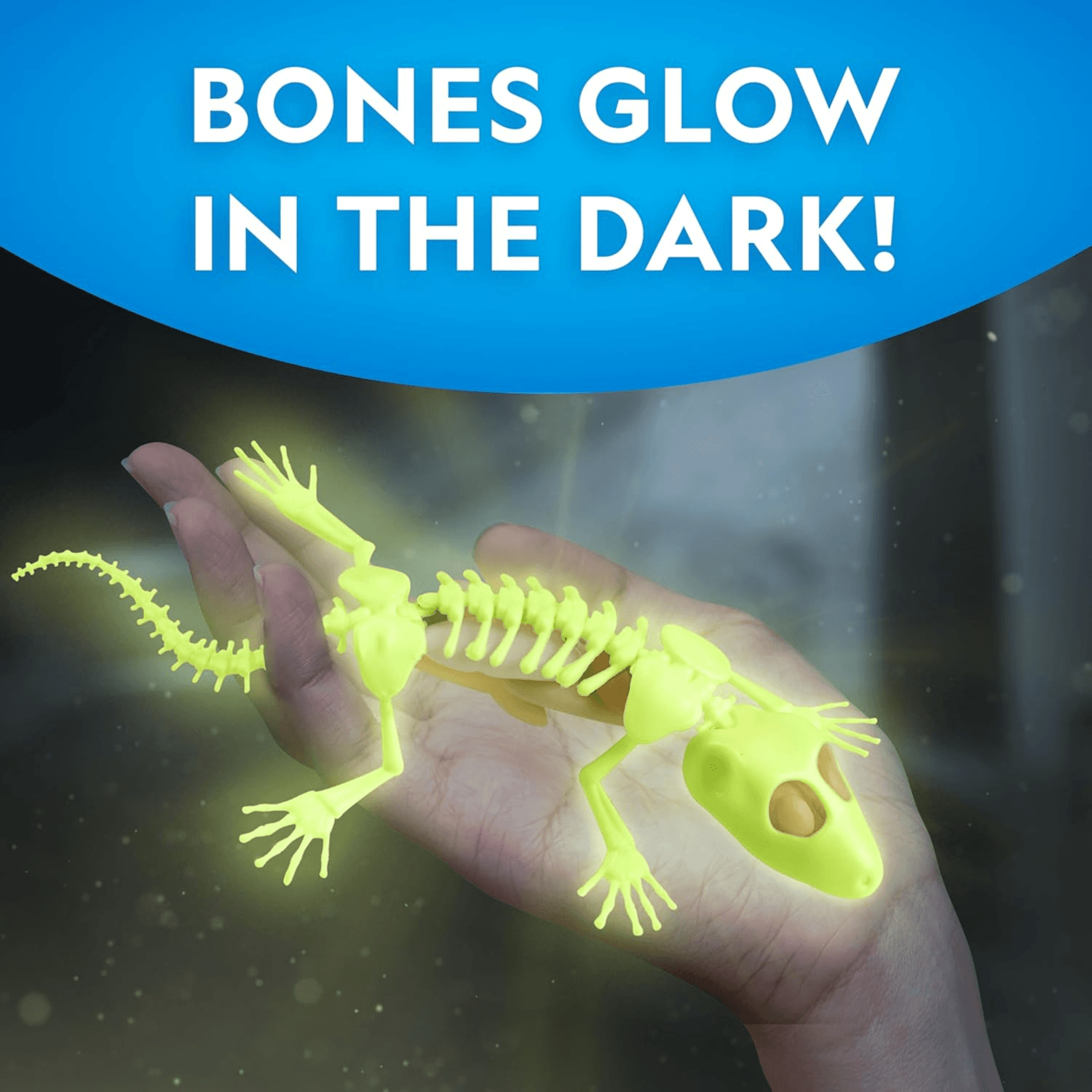 National Geographic - Glow-In-The-Dark Gecko Dissection Lab