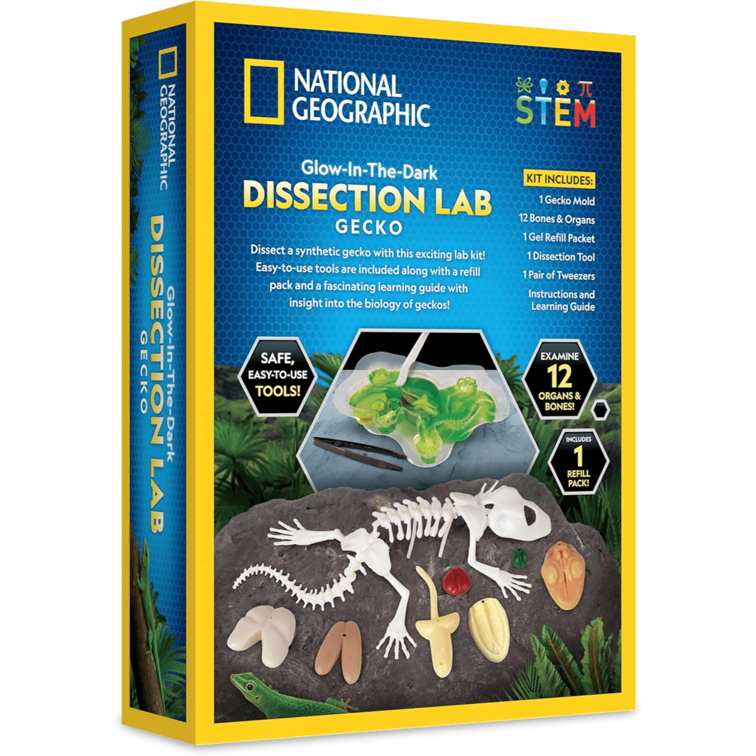 National Geographic - Glow-In-The-Dark Gecko Dissection Lab