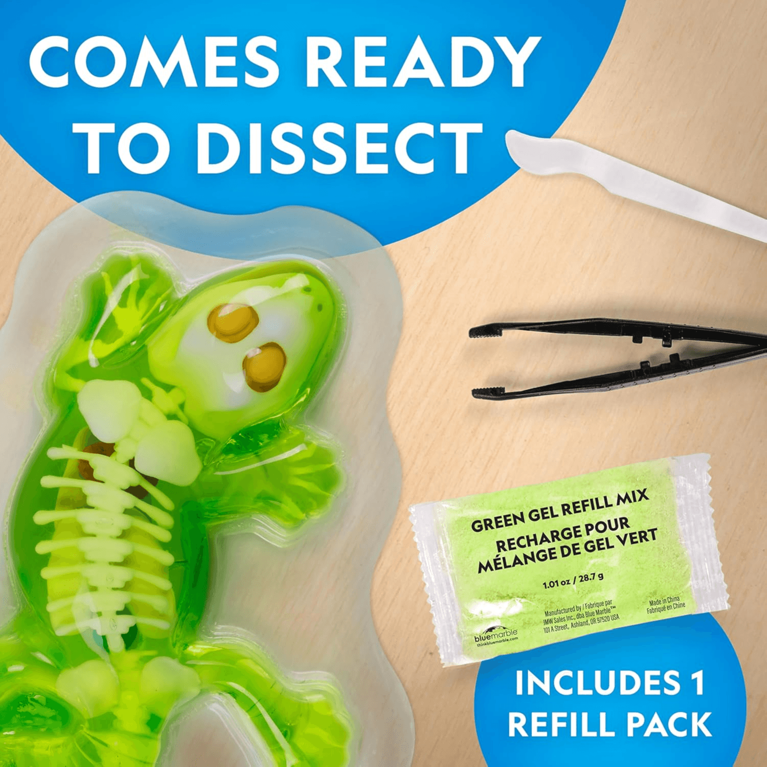 National Geographic - Glow-In-The-Dark Gecko Dissection Lab