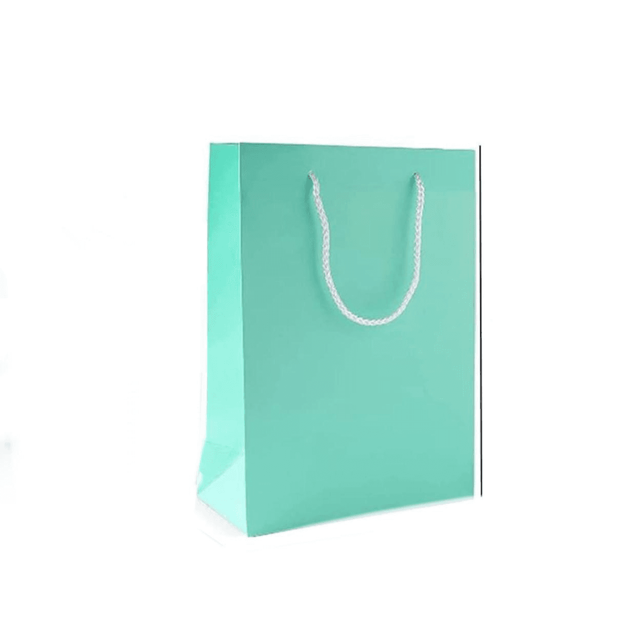 Mint Green Gift Bag