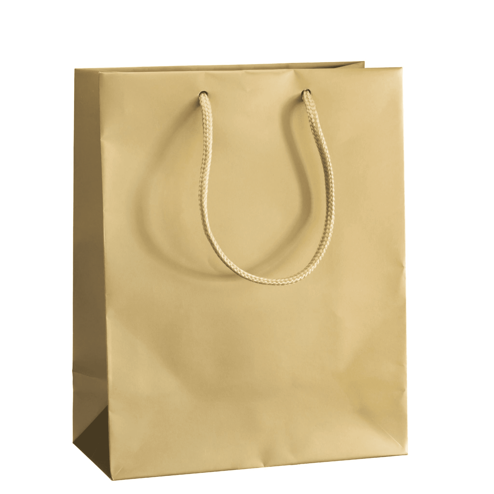 Gold Gift Bag