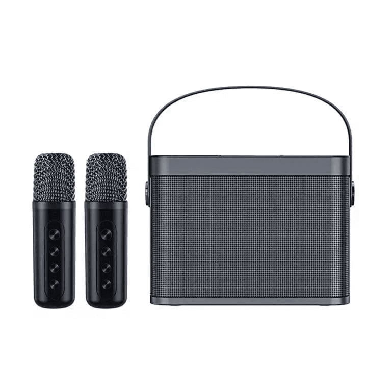 SkyDisco YS-219 Karaoke Machine with 2 Wireless Microphones Portable Speaker 30W Bluetooth - Black