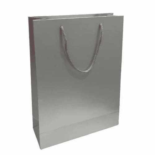 Silver Gift Bag