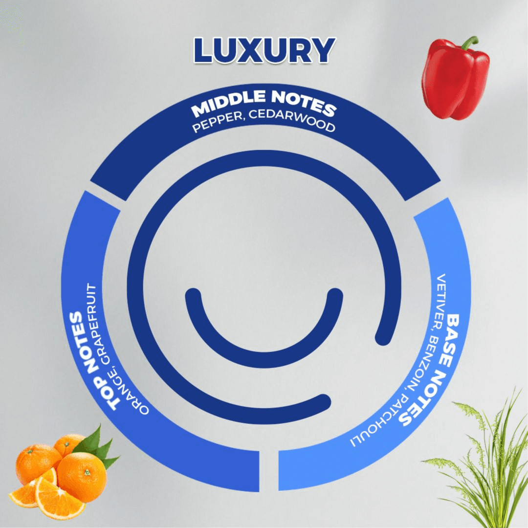 Luxury Fragrance Oil - 100/220/480/980ml