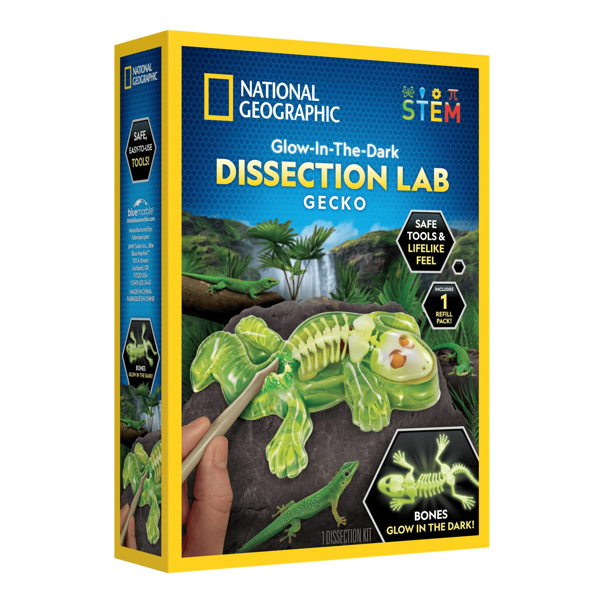 National Geographic - Glow-In-The-Dark Gecko Dissection Lab