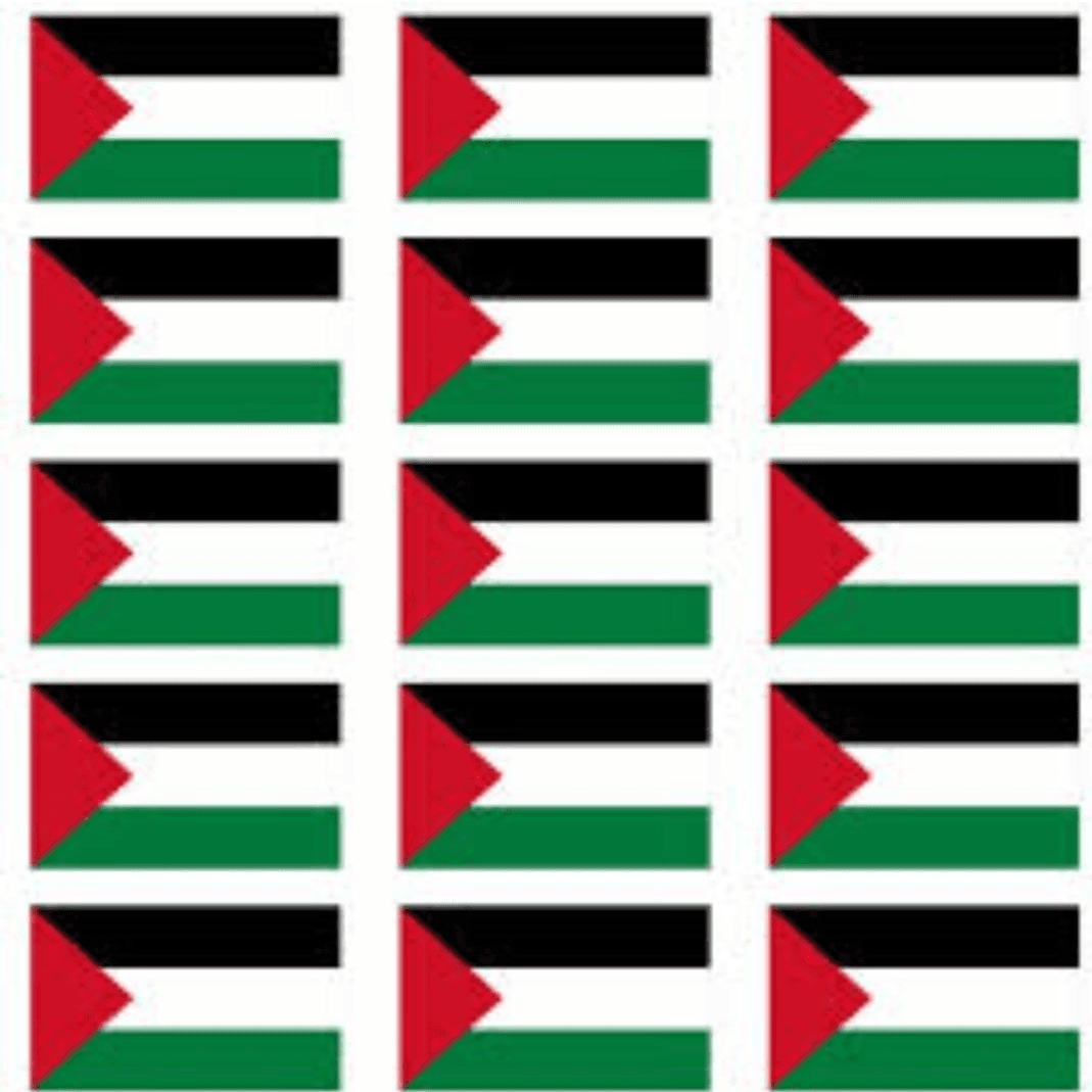 PALESTINE FLAG sticker free Gaza