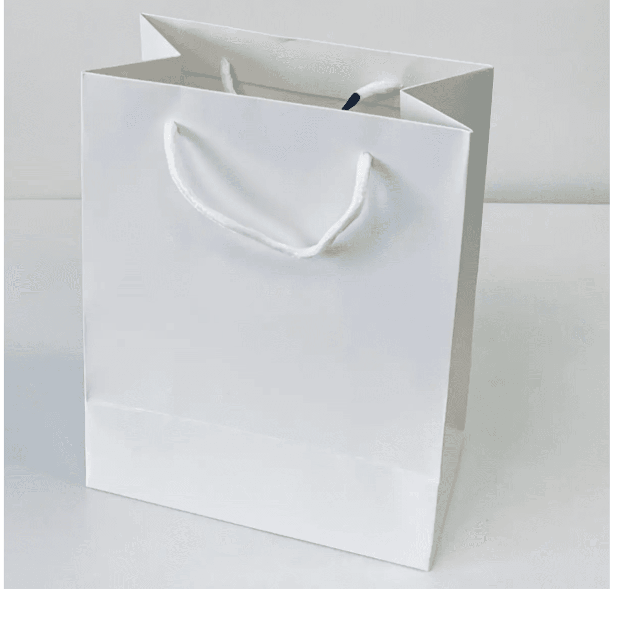 Paper Gift Bag, Medium 26 X 20 X 11 CM Silver  AS274