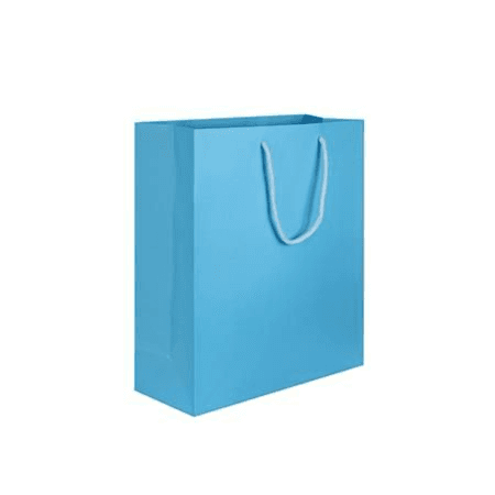 12 pcs Light Blue Mini Gift Bag