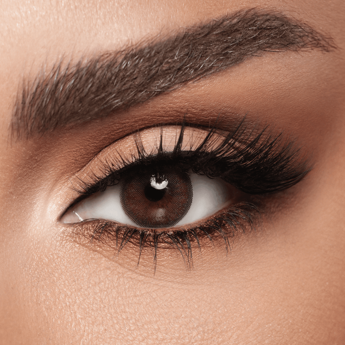 Diva Lenses- Cedar - Brown
