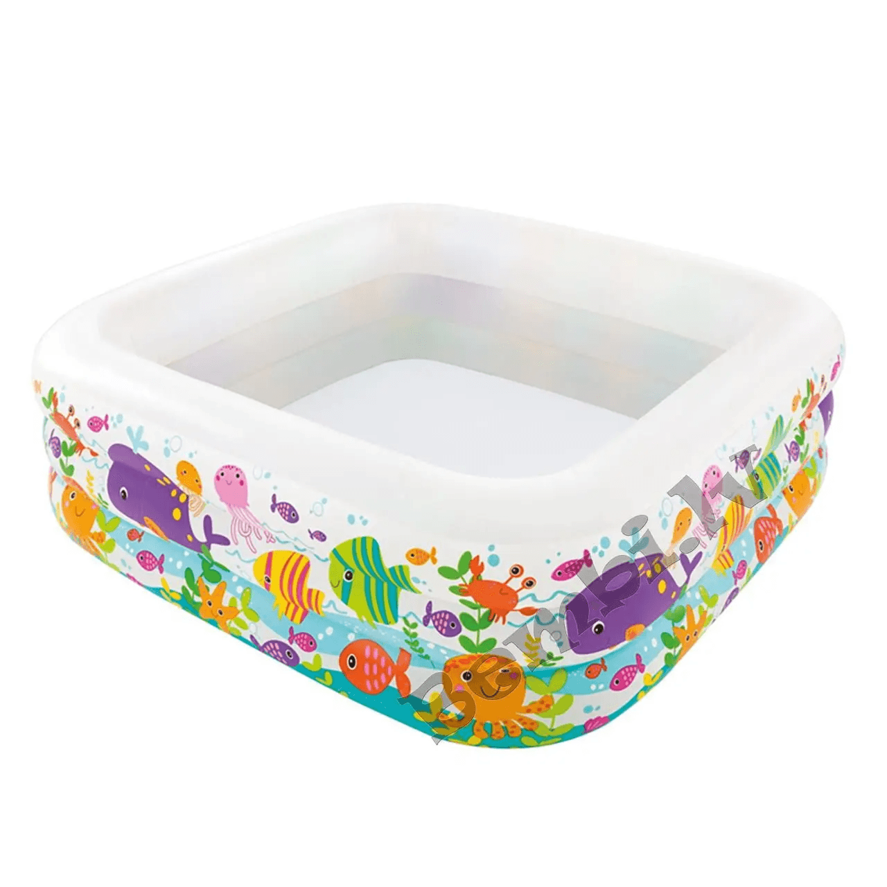 Intex Wet Set Collection Swimming Pool 1.59M X 1.59M X 50Cm (57471Np)