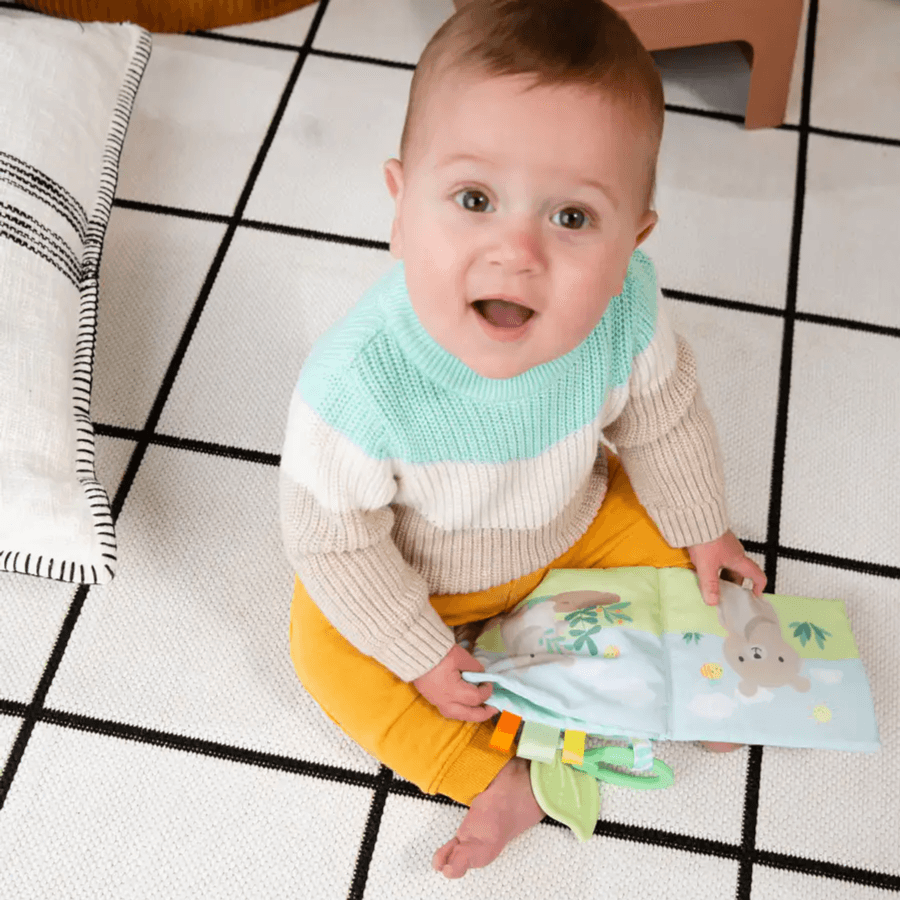 Ingenuity Soft Book Nate
