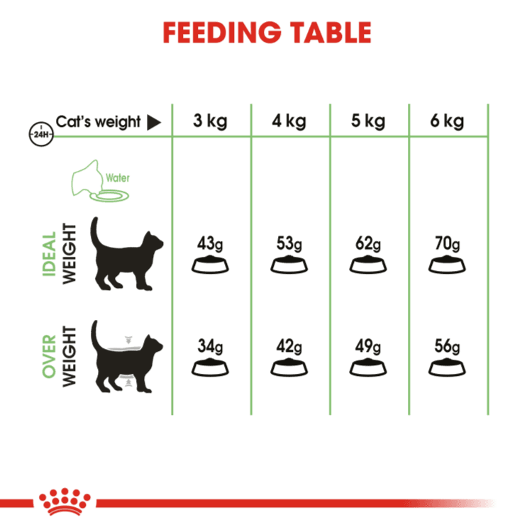 Royal Canin Digestive Care 2 Kg