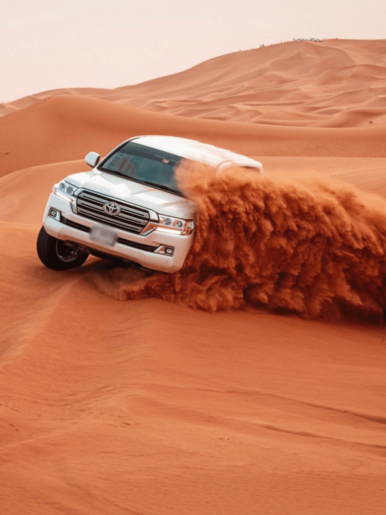 Murex Activities & Tour - Desert Safari (4 Hours)  image
