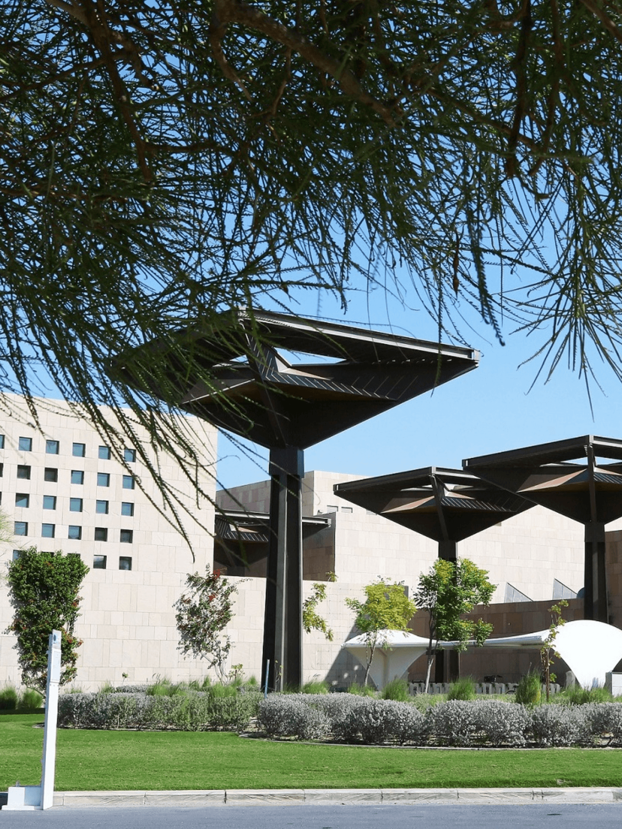 Murex Activities and Tours - Education City (4 Hours) image