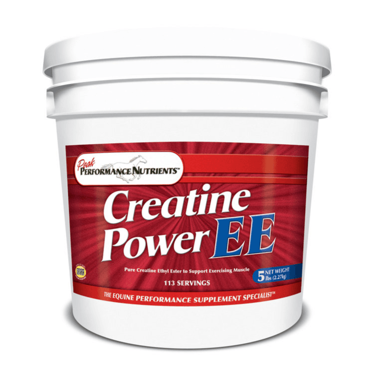 Creatine Power EE 5Lb Creatine Ethyl Ester 20000Mg