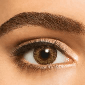 Freshlook Colorblends Pure Hazel