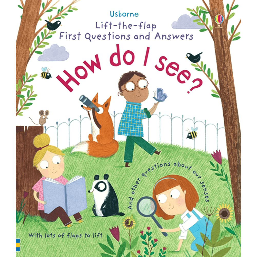 917926 First Questions And Answers: How Do I See? (Board Book) By Daynes, Katie