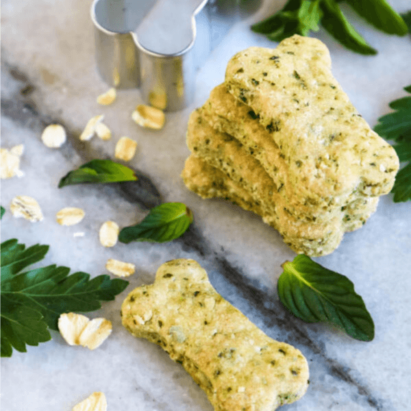 Minty Bites Freshly Baked Cookies