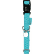 Macleather Adjustable Collar 20Mm Turquoise