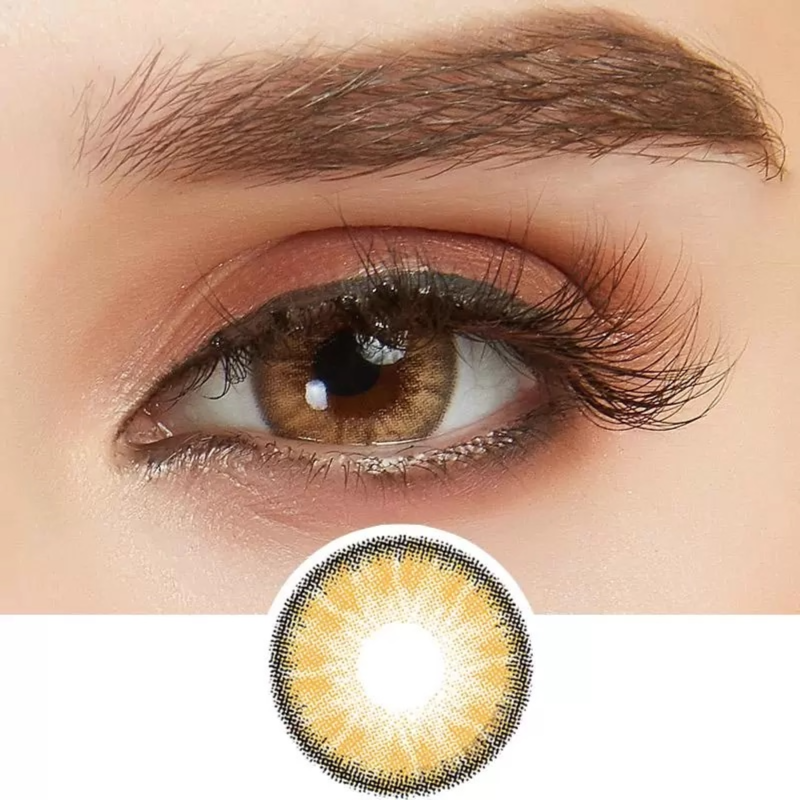 Lenses Dark Hazel  8 Pieces Beauty Daily