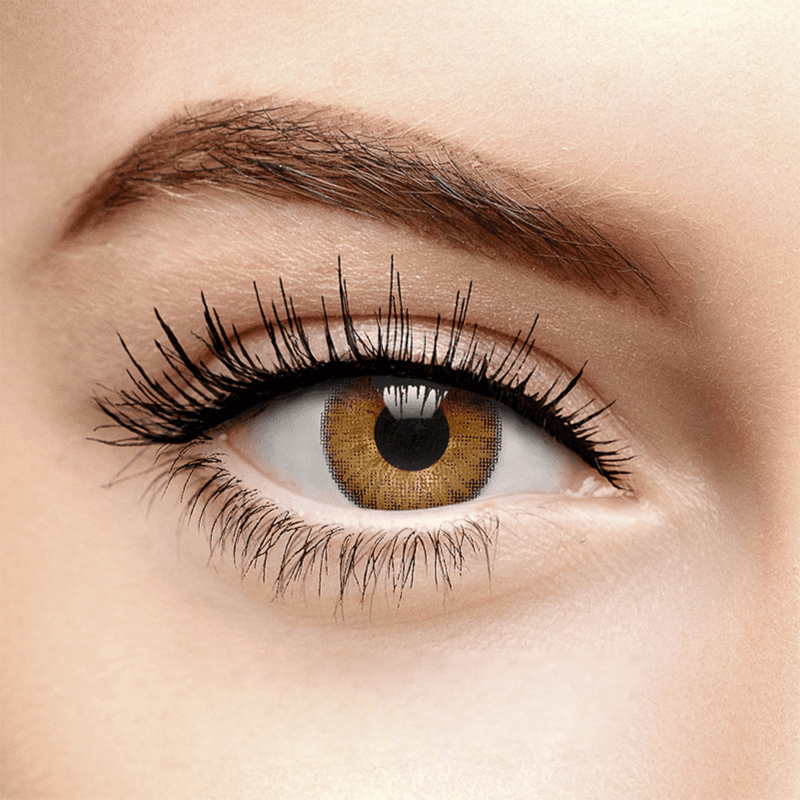 Freshlook Colorblends Honey Contact Lenses