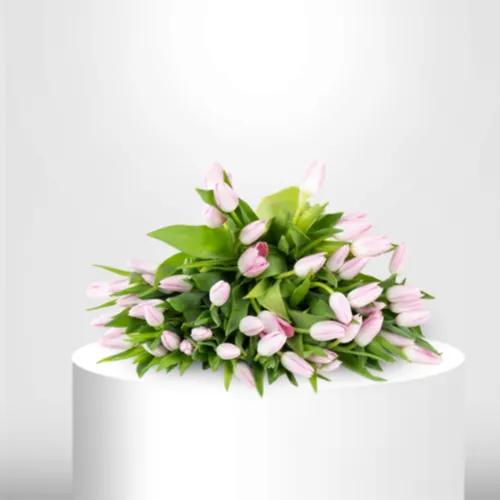 30 Pink Tulips - B60060