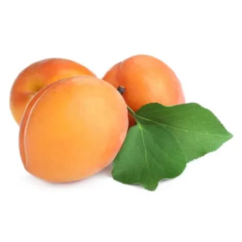 Golden Apricot Lebanon 500g