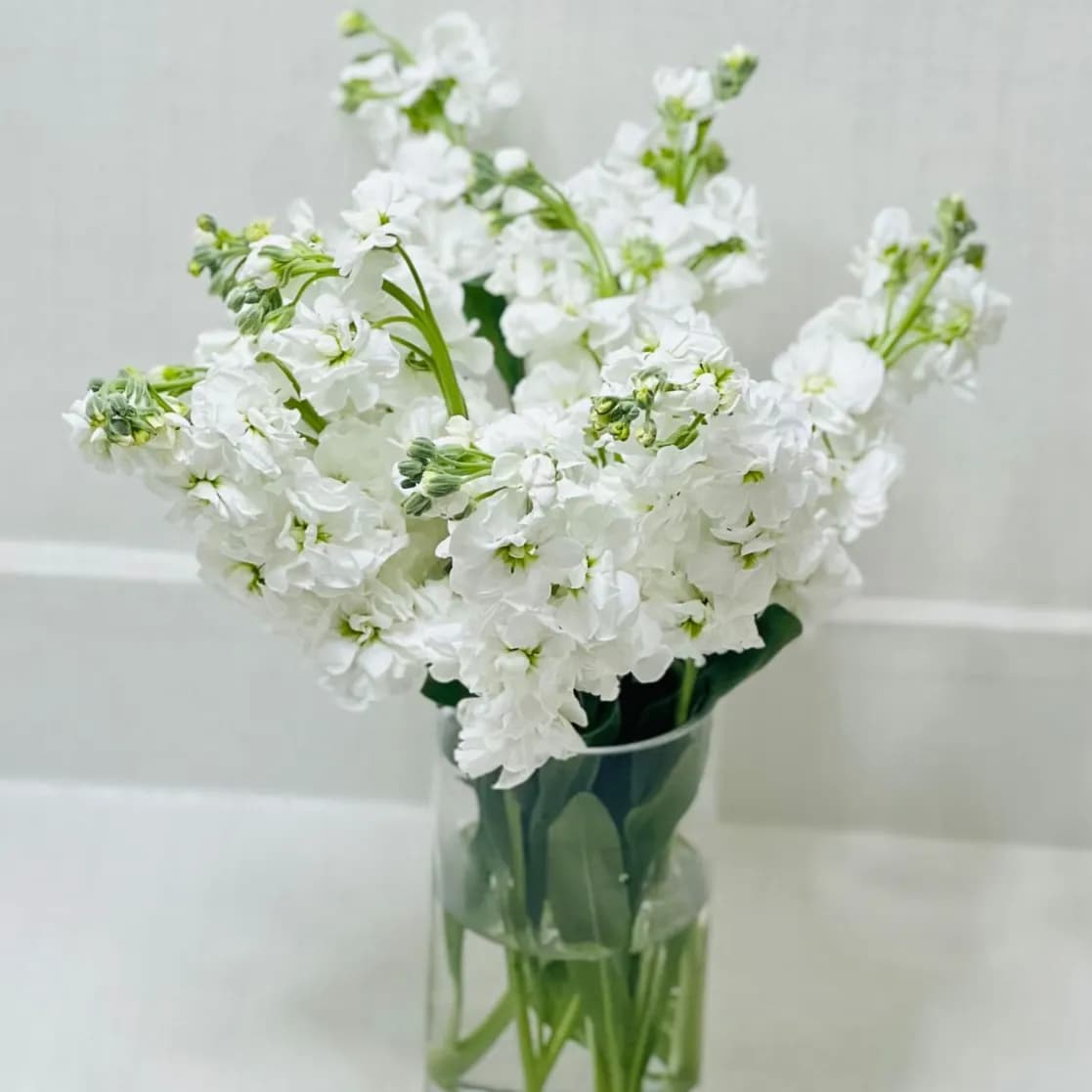 Delphinium Vase