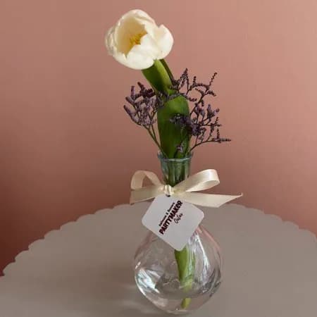 Single White Tulip In A Vase