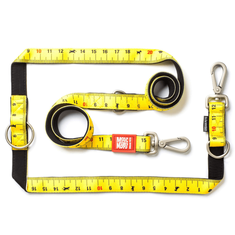 Multi-function Leash Ruler L